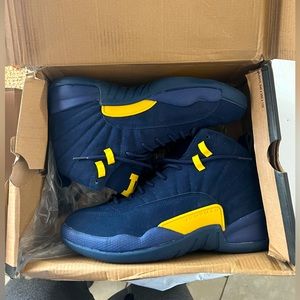 Jordan 12 Michigan State